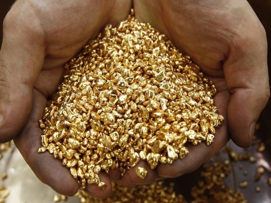 Забайкальца оштрафовали на 1,2 млн рублей за незаконную добычу золота