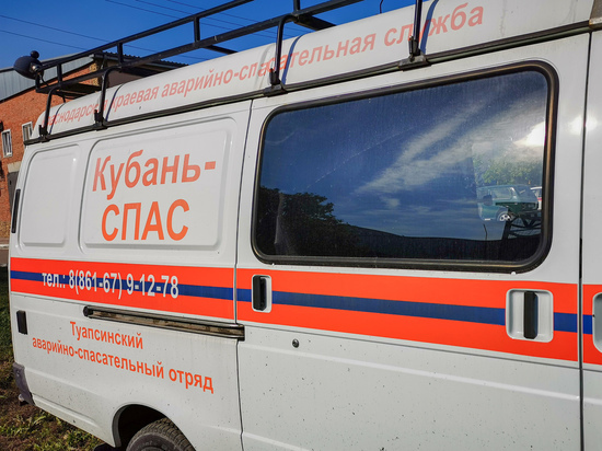 Женщину в Туапсе чуть не убили дикие пчелы