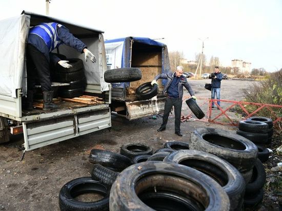 В Ярославле собирают старую «резину» и корм для животных