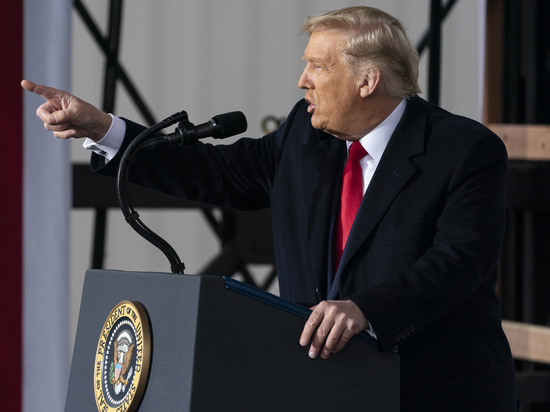 Слова экс-советника Трампа сочли дурацкой идеей