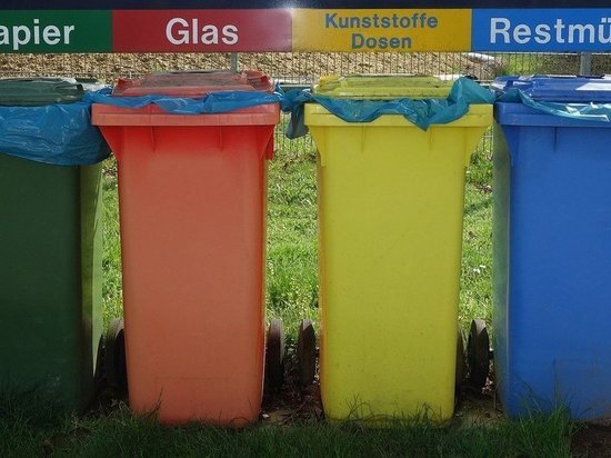 В псковских дворах появятся контейнеры для раздельного сбора мусора