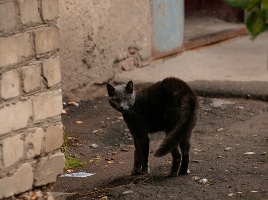 Погода в Рязанской области 28 октября
