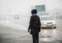 У новосибирцев будет возможность насладиться по-настоящему зимним утром: снегопад и небольшая метель – порывы северо-западного ветра будут достигать 19 метров в секунду