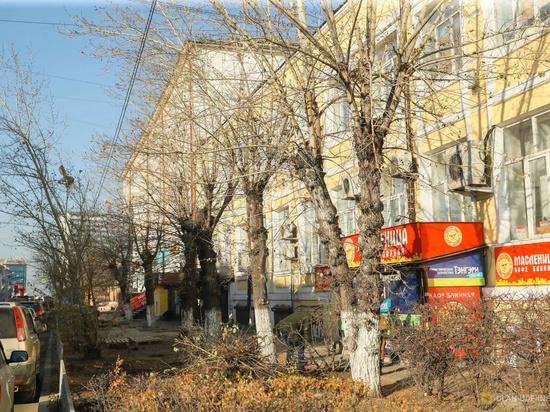 На площади Советов в Улан-Удэ оставят семь тополей