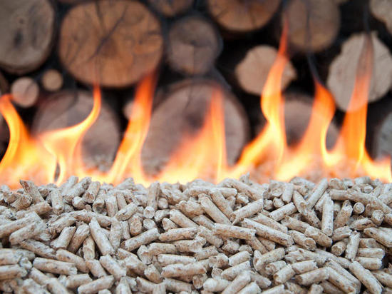 В прошлом году Бурятия чаще продавала за рубеж топливо и древесину