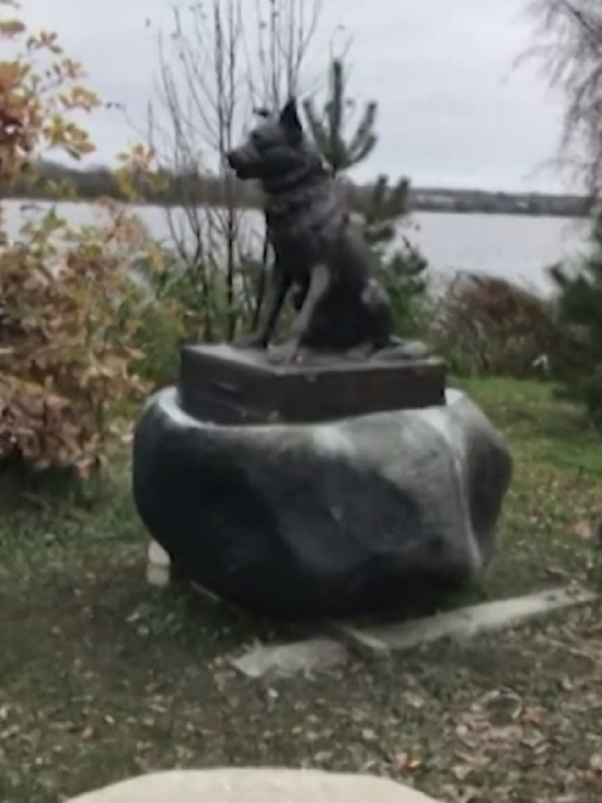 В Ярославской области установлен памятник бездомной собаке
