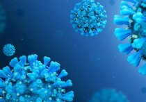 Вирусолог призвал не надеяться на коллективный иммунитет к COVID-19