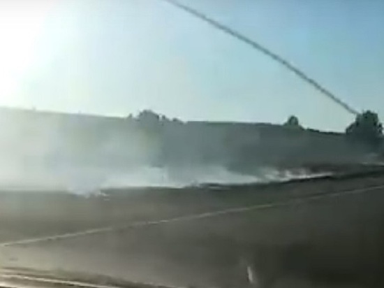 МЧС задержали поджигателей травы в районе Забайкалья