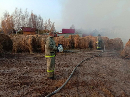 В Гагаринском районе сгорело 30 рулонов сена