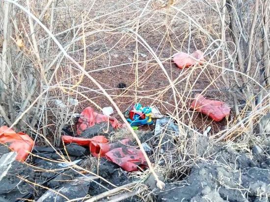 Власти Читы заявили в УМВД о грудах золы и манекенах на берегу Ингоды