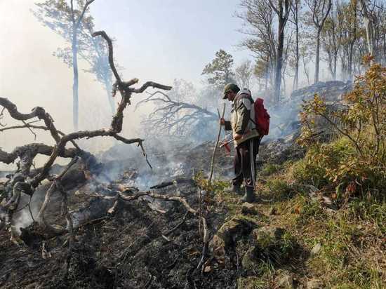 В Туапсе тушить крупный лесной пожар вылетел вертолет Ми-8