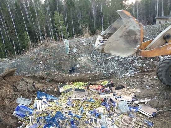 В Екатеринбурге на свалке уничтожили тонну грибов, яблок и груш