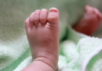 В одном из сел под Новосибирском 14-летняя школьница родила ребенка и спрятала после родов его в морозилке, в результате чего младенец умер от переохлаждения