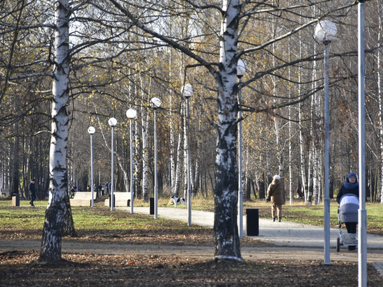 В городе Владимире завершен первый этап благоустройства парка «Добросельский»
