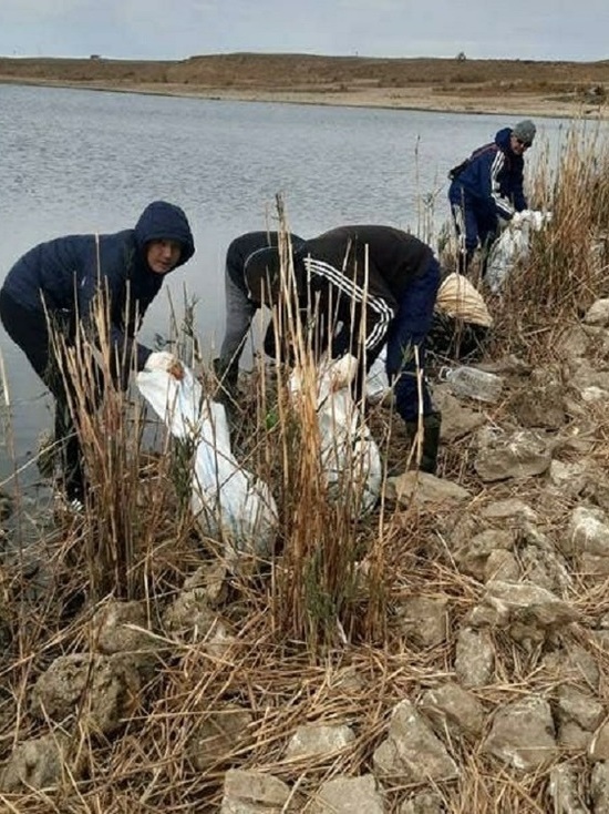 Водоем в Калмыкии очищают от сгнившей рыбы