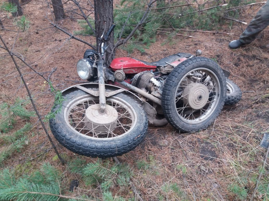 Забайкалец замаскировал мотоцикл в лесу после угона