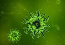 Исследования показывают, что у некоторых вылечившихся после коронавируса вырабатываются «аутоантитела», которые атакуют не вирус, а организм и могут стать причиной симптомов «длительного COVID»