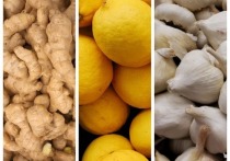 Как сообщает пресс-служба управления Россельхознадзора по Новосибирской области, с начала 2020 года в Новосибирск из-за рубежа поступило почти 900 тонн лимонов, чеснока и имбиря