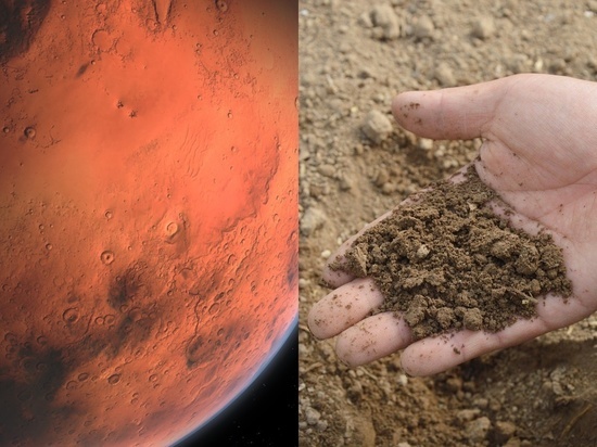 Марсианский грунт проверили на плодородные качества