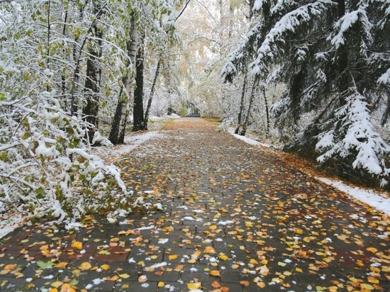 Хакасию ожидает снег на выходных и снежный ноябрь