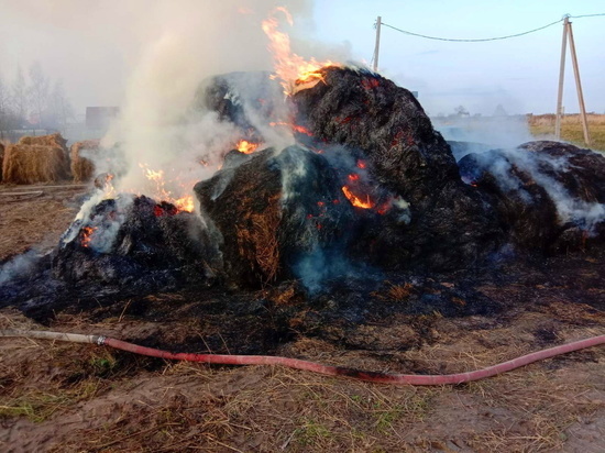 Жительница Полични адресовала смоленским пожарным слова благодарности