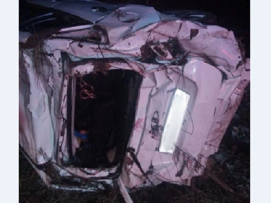 Пьяный водитель в Удмуртии перевернулся с трассы и врезался в дерево