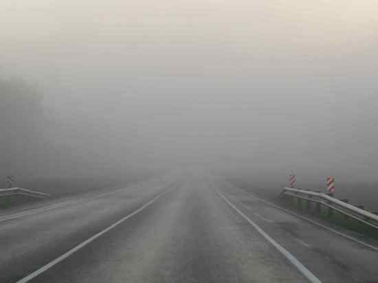 Дороги в Тверской области укроет туман