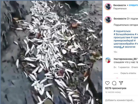 Жители Приморья сняли на видео горы мертвой рыбы на берегу