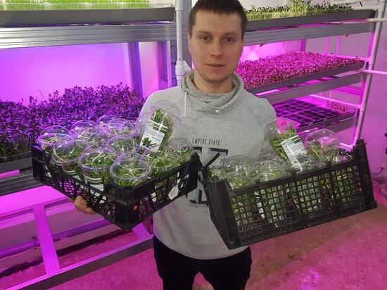 Волгоградец создал ферму по выращиванию микрозелени в городе