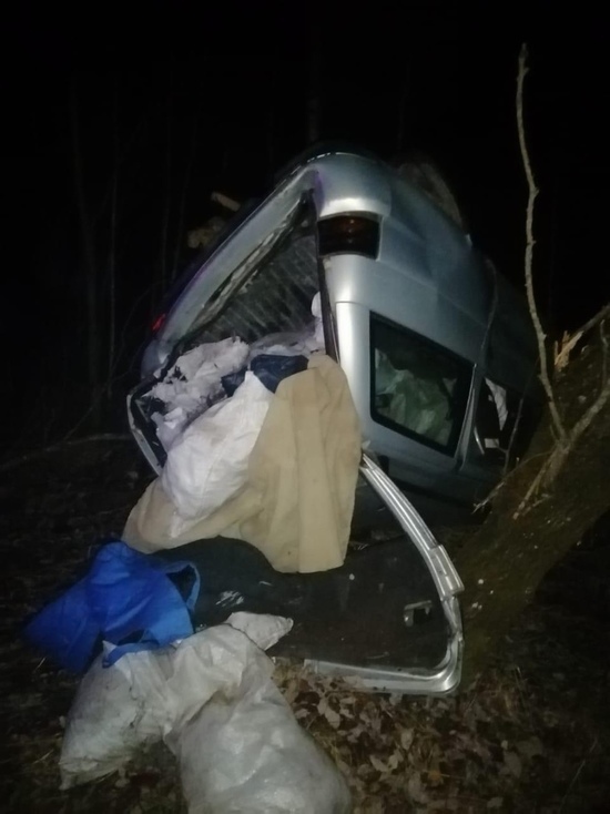 На прямой дороге пожилой водитель опрокинулся в кювет в Тверской области