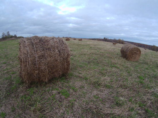 В воскресенье в Смоленской области будет пасмурно, прохладно и туманно