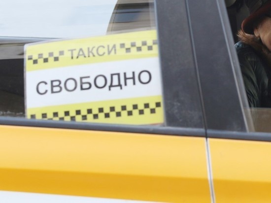 В Петербурге таксист избил пассажира из-за собаки в переноске