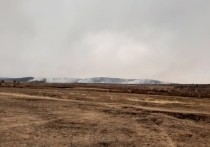 В Улётовском районе задержан поджигатель сухой травы