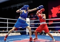 В Ульяновске прошел чемпионата России по боксу среди женщин