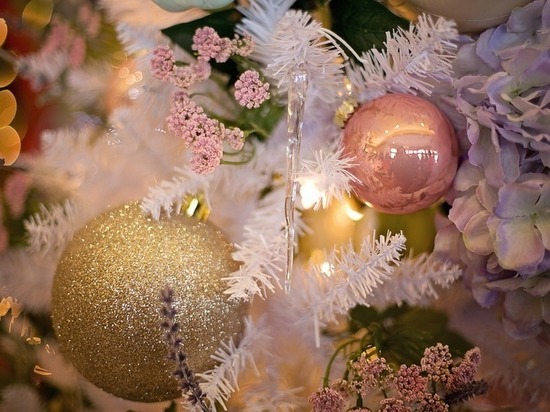 Главную Новогоднюю ёлку в Воронеже установят за 1,9 млн рублей