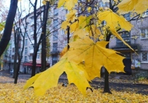 Ночной дождь в Луганске продолжит идти утром