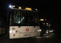 Автобусы ЛиАЗ вышли на муниципальные маршруты