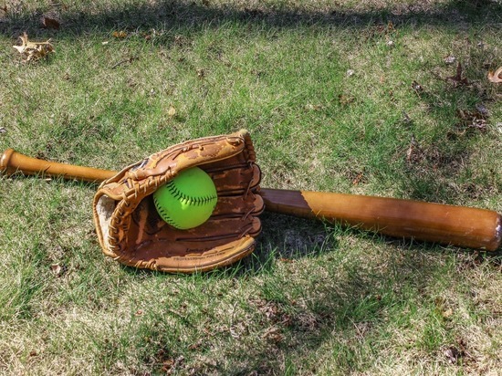 33-летний смолянин использовал бейсбольную биту не для игры