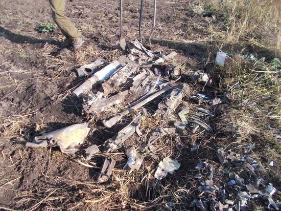 Тульские поисковики исследуют фрагменты черепа, найденные на месте падения немецкого самолета