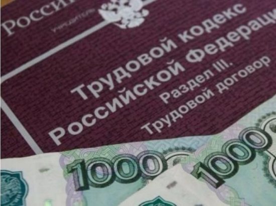 В пяти организациях Чувашской Республики погашена задолженность по заработной плате