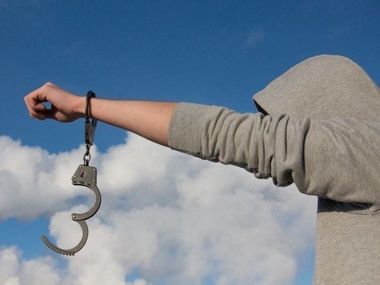 Год тюрьмы грозит 19-летнему смолянину за покупку прав в интернете