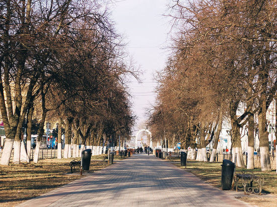 В центре Рязани может появиться бульвар Есенина