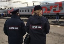 Могочинский транспортный прокурор утвердил обвинение в отношении пассажира поезда «Владивосток-Самара», который будучи в пьяном виде напал на полицейских