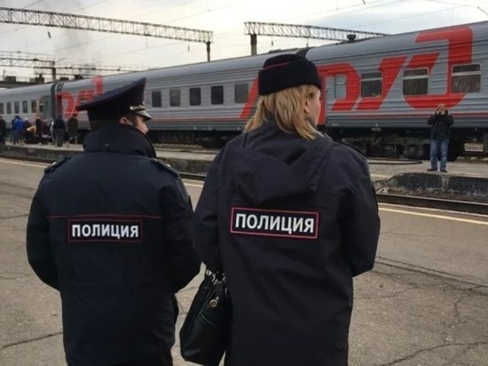 Забайкальца будут судить за нападение на полицейского в поезде