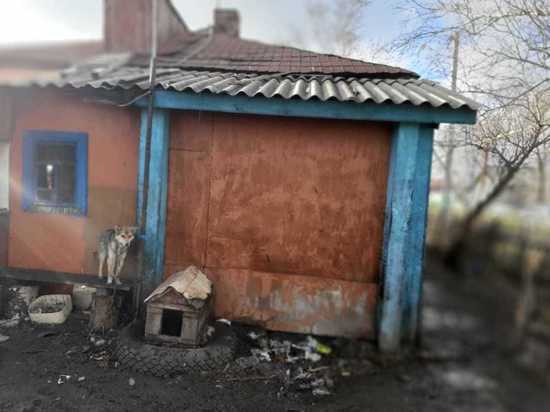 Трое детей и двое мужчин сгорели в страшном пожаре в Новосибирской области