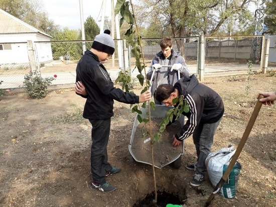 На Ставрополье тепличный комплекс построили в детском доме-интернате