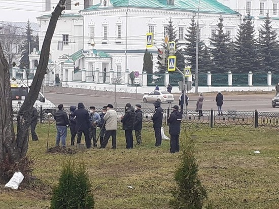 4 ноября в Йошкар-Оле состоялась незаконная посадка деревьев