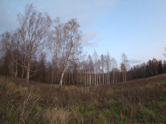 Смоленские синоптики в пятницу рекомендуют прихватить с собой зонты