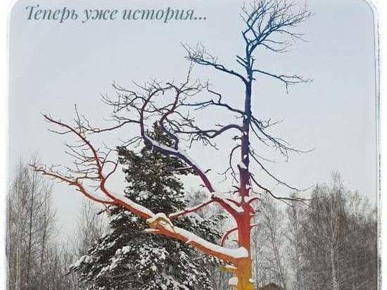 Новосибирск остался без легендарного арт-объекта «Цветное дерево»