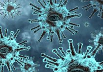 В Забайкалье поставлен очередной рекорд выявляемости коронавирусной инфекции – 243 за сутки
